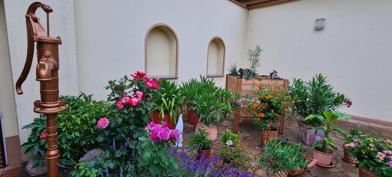 Die Ferienwohnung "Am Kietz" Schwedt Exteriör bild